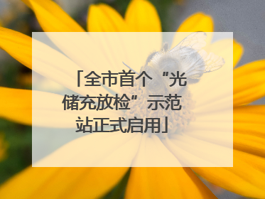 全市首个“光储充放检”示范站正式启用