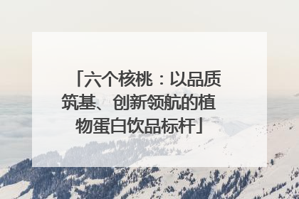 六个核桃：以品质筑基、创新领航的植物蛋白饮品标杆