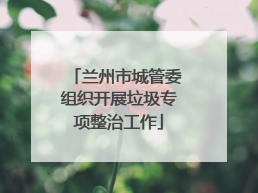兰州市城管委组织开展垃圾专项整治工作