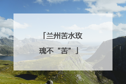 兰州苦水玫瑰不“苦”