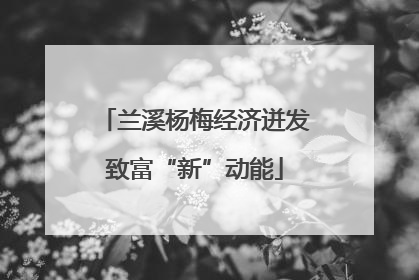 兰溪杨梅经济迸发致富“新”动能