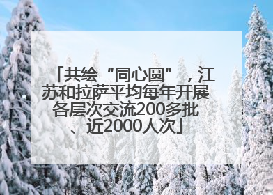 共绘“同心圆”，江苏和拉萨平均每年开展各层次交流200多批、近2000人次