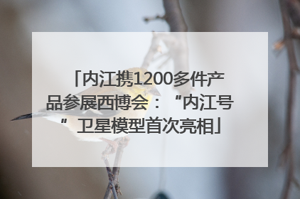 内江携1200多件产品参展西博会：“内江号”卫星模型首次亮相