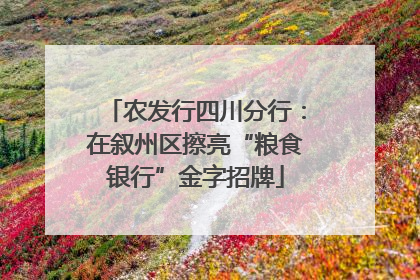 农发行四川分行：在叙州区擦亮“粮食银行”金字招牌