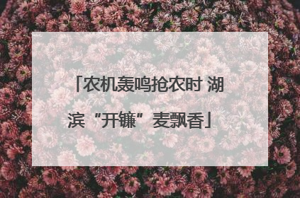 农机轰鸣抢农时 湖滨“开镰”麦飘香