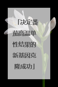 决定番茄高温单性结果的新基因克隆成功