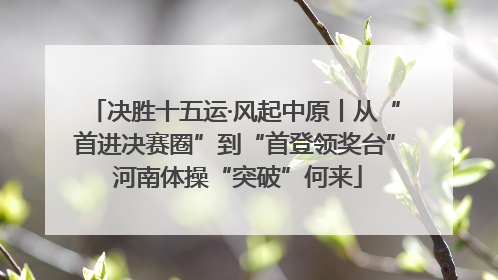 决胜十五运·风起中原丨从“首进决赛圈”到“首登领奖台” 河南体操“突破”何来