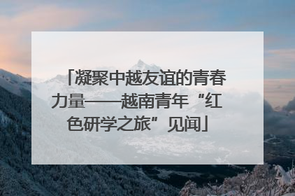 凝聚中越友谊的青春力量——越南青年“红色研学之旅”见闻