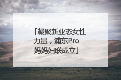 凝聚新业态女性力量，浦东Pro妈妈妇联成立