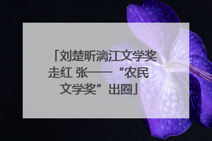 刘楚昕漓江文学奖走红 张一一“农民文学奖”出圈