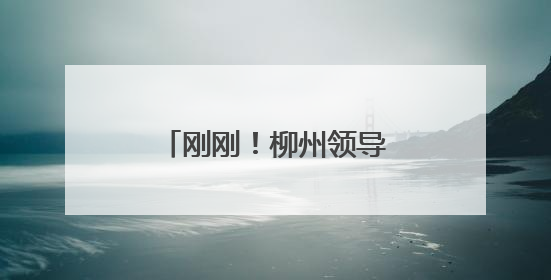 刚刚！柳州领导干部任职前公示