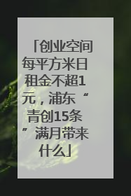 创业空间每平方米日租金不超1元，浦东“青创15条”满月带来什么