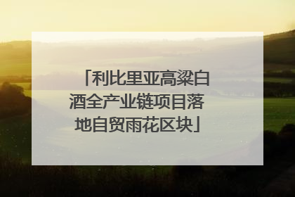 利比里亚高粱白酒全产业链项目落地自贸雨花区块