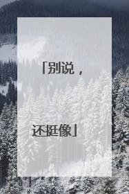 别说，还挺像