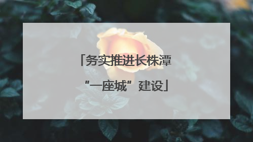 务实推进长株潭“一座城”建设