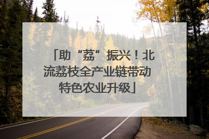 助“荔”振兴！北流荔枝全产业链带动特色农业升级