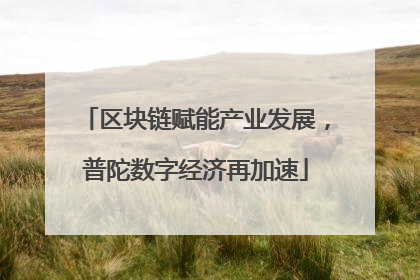 区块链赋能产业发展，普陀数字经济再加速