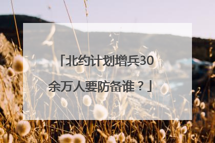 北约计划增兵30余万人要防备谁？