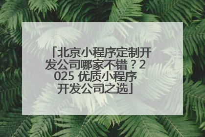 北京小程序定制开发公司哪家不错？2025 优质小程序开发公司之选