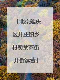 北京延庆区井庄镇乡村奥莱商街开街运营