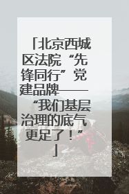 北京西城区法院“先锋同行”党建品牌——“我们基层治理的底气更足了！”