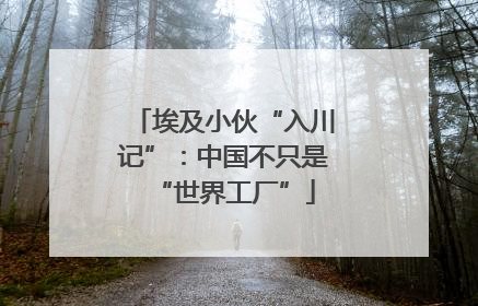 埃及小伙“入川记”：中国不只是“世界工厂”