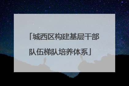 城西区构建基层干部队伍梯队培养体系