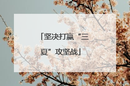 坚决打赢“三夏”攻坚战
