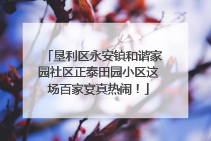 垦利区永安镇和谐家园社区正泰田园小区这场百家宴真热闹！