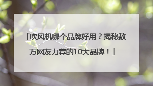 吹风机哪个品牌好用？揭秘数万网友力荐的10大品牌！