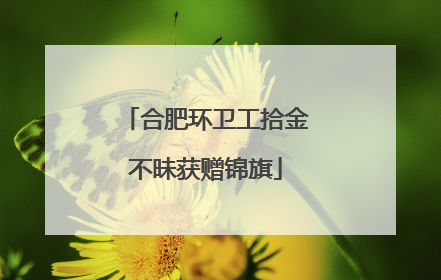 合肥环卫工拾金不昧获赠锦旗