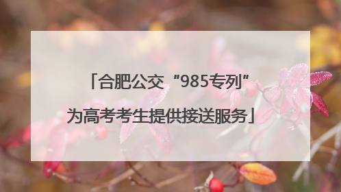 合肥公交“985专列”为高考考生提供接送服务