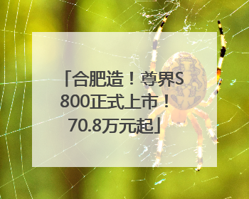 合肥造！尊界S800正式上市！70.8万元起