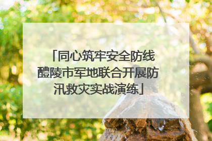 同心筑牢安全防线 醴陵市军地联合开展防汛救灾实战演练