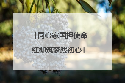 同心家国担使命 红柳筑梦践初心