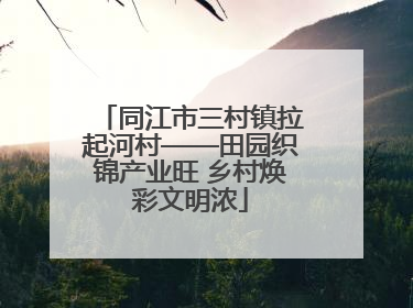 同江市三村镇拉起河村——田园织锦产业旺 乡村焕彩文明浓