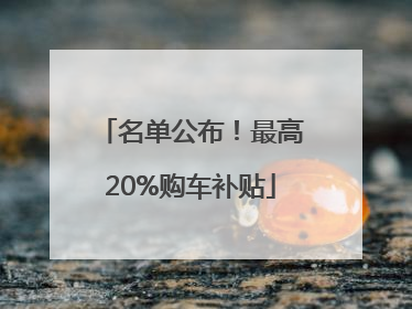名单公布！最高20%购车补贴