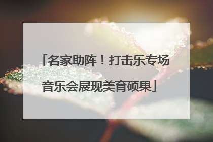 名家助阵！打击乐专场音乐会展现美育硕果