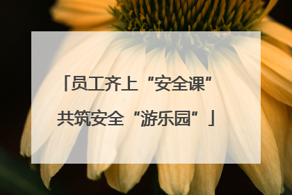 员工齐上“安全课” 共筑安全“游乐园”