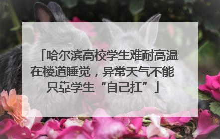 哈尔滨高校学生难耐高温在楼道睡觉，异常天气不能只靠学生“自己扛”