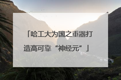 哈工大为国之重器打造高可靠“神经元”