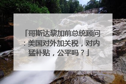 哥斯达黎加前总统顾问：美国对外加关税，对内猛补贴，公平吗？