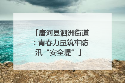 唐河县泗洲街道：青春力量筑牢防汛“安全堤”
