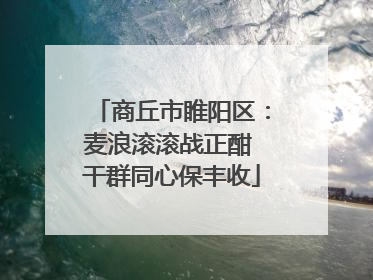 商丘市睢阳区：麦浪滚滚战正酣 干群同心保丰收