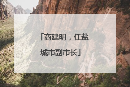 商建明，任盐城市副市长