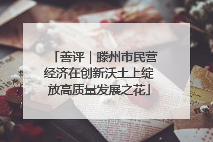 善评｜滕州市民营经济在创新沃土上绽放高质量发展之花