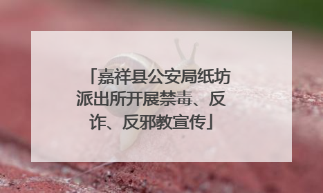 嘉祥县公安局纸坊派出所开展禁毒、反诈、反邪教宣传