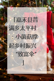 嘉禾县普满乡太平村：小菌菇撑起乡村振兴“致富伞”