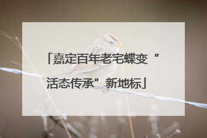 嘉定百年老宅蝶变“活态传承”新地标