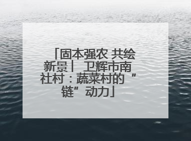 固本强农 共绘新景 ︳卫辉市南社村：蔬菜村的“链”动力